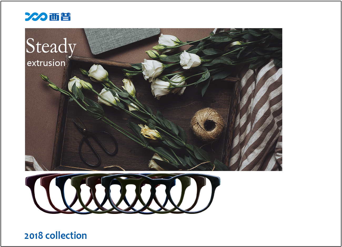 2018 collection of Steady
